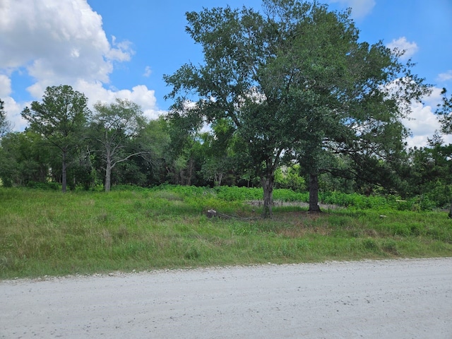 0 Bracewell Rd, Bedias, TX 77831