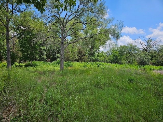 0 Bracewell Rd, Bedias, TX 77831