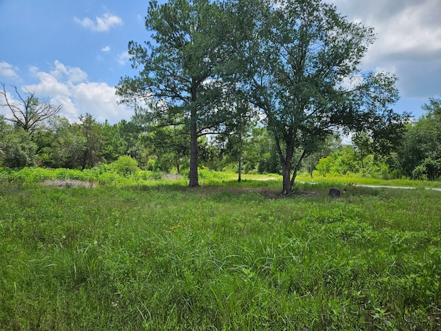 0 Bracewell Rd, Bedias, TX 77831