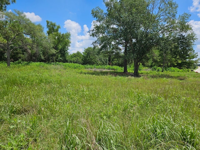 0 Bracewell Rd, Bedias, TX 77831