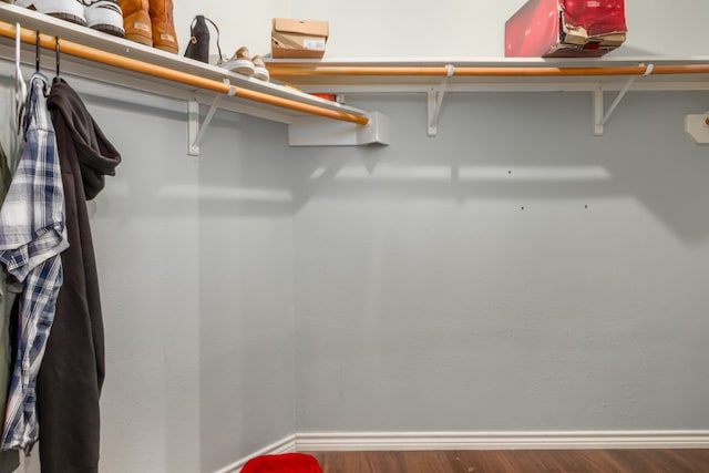 walk in closet featuring hardwood / wood-style flooring