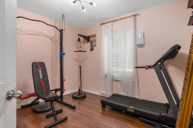 exercise room with hardwood / wood-style flooring