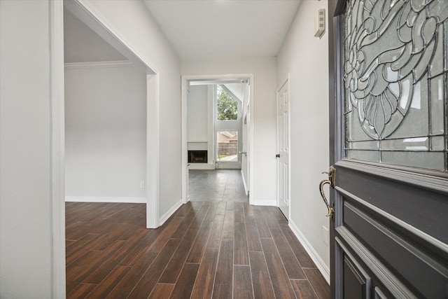 foyer with dark wood-type flooring and crown molding