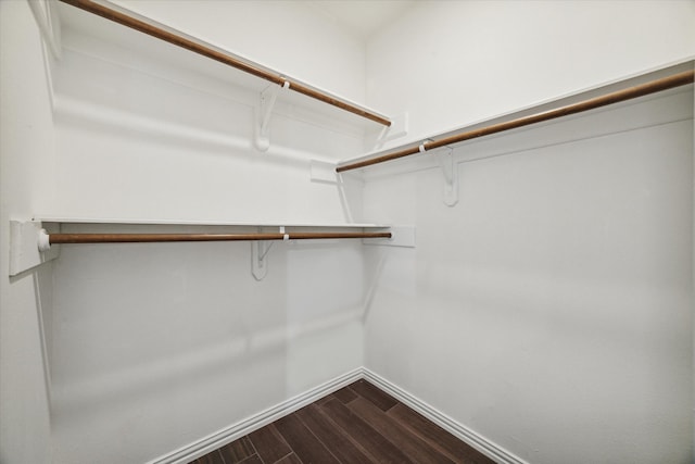 walk in closet with wood-type flooring