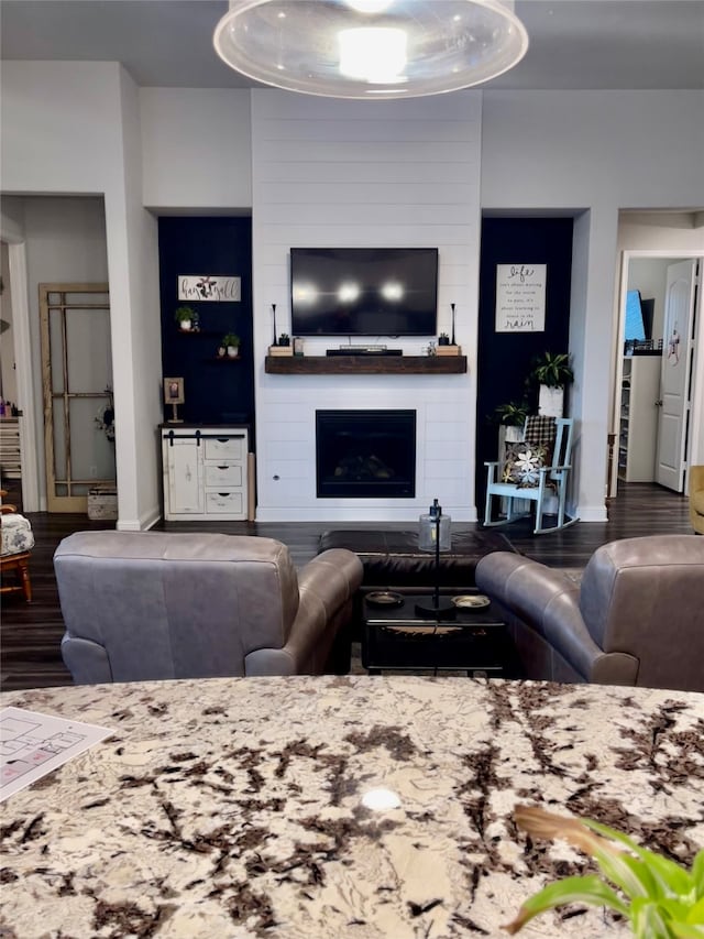 living room with a large fireplace and wood-type flooring