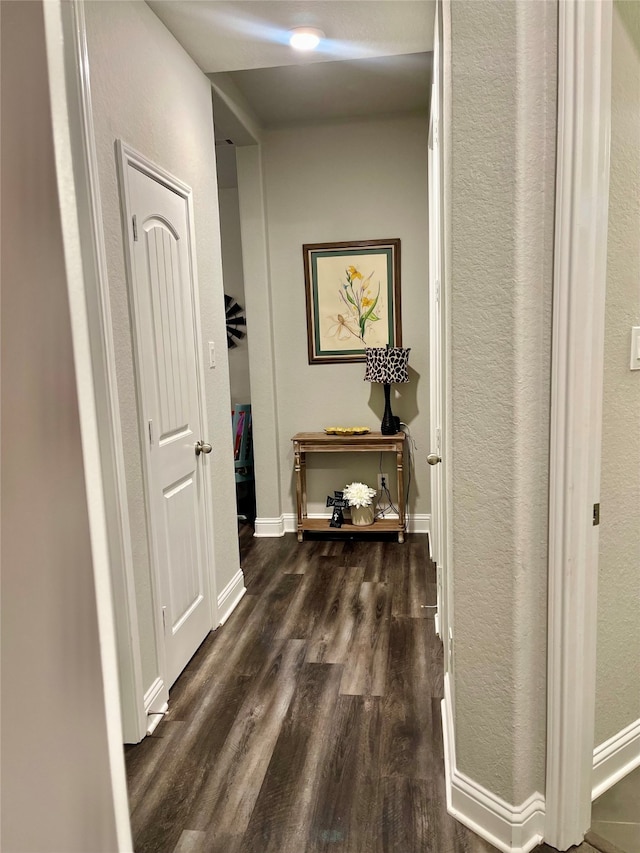 corridor featuring dark hardwood / wood-style flooring