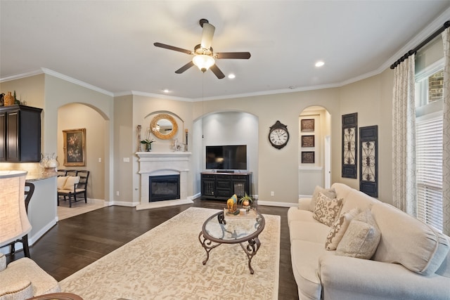 living room featuring dark wood-type flooring, ceiling fan, and ornamental molding