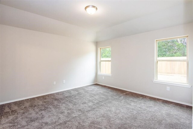 carpeted empty room featuring a wealth of natural light