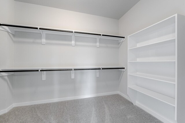 22126 Oceania Shores Dr, Hockley, TX 77447 - spacious closet with light carpet