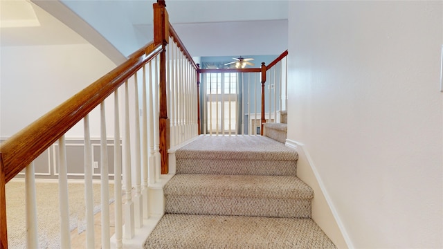 stairs with carpet flooring and ceiling fan