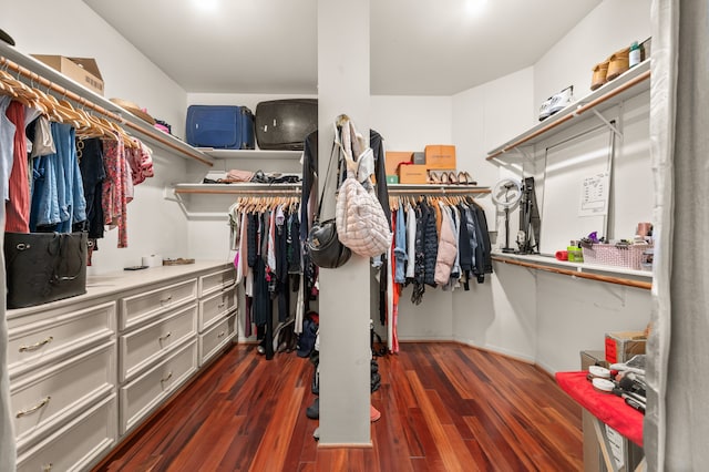 walk in closet featuring dark hardwood / wood-style flooring