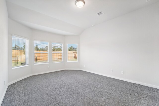 carpeted empty room featuring vaulted ceiling and a healthy amount of sunlight