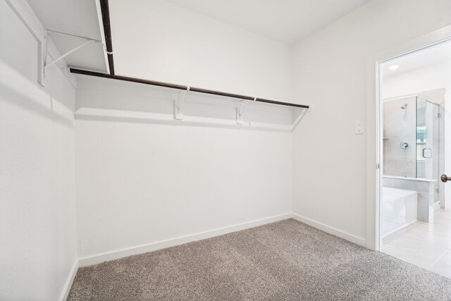 spacious closet with carpet