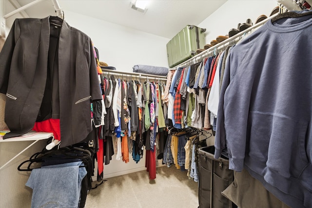 spacious closet with light colored carpet