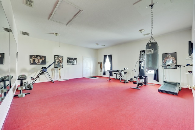 workout area with carpet flooring