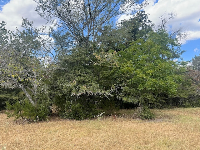 Listing photo 2 for 27141 Rock Island Rd, Hempstead TX 77445