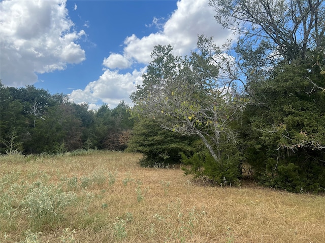 Listing photo 3 for 27141 Rock Island Rd, Hempstead TX 77445