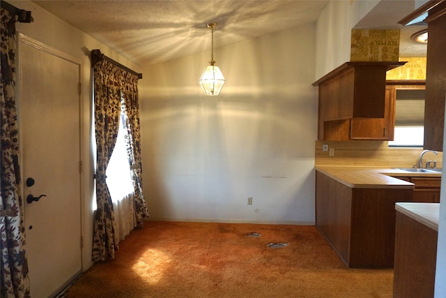 unfurnished dining area with light carpet, a textured ceiling, vaulted ceiling, and sink