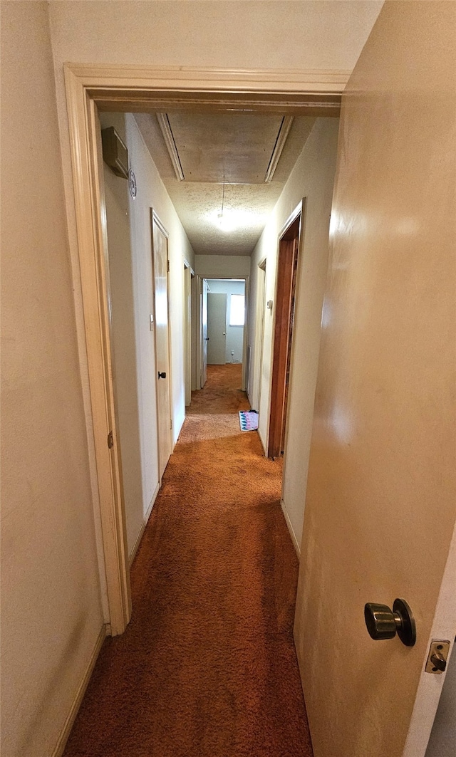 hallway featuring carpet flooring and a textured ceiling