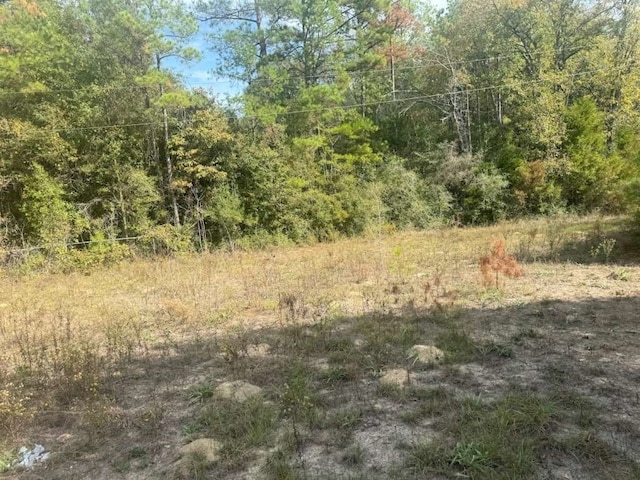 view of local wilderness