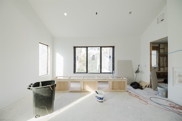 interior space with lofted ceiling