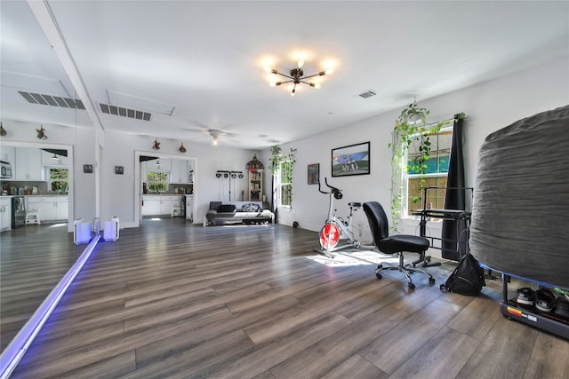 workout room featuring dark wood-type flooring and ceiling fan