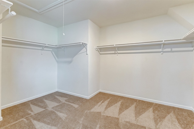 spacious closet with carpet