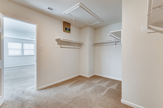 spacious closet featuring carpet