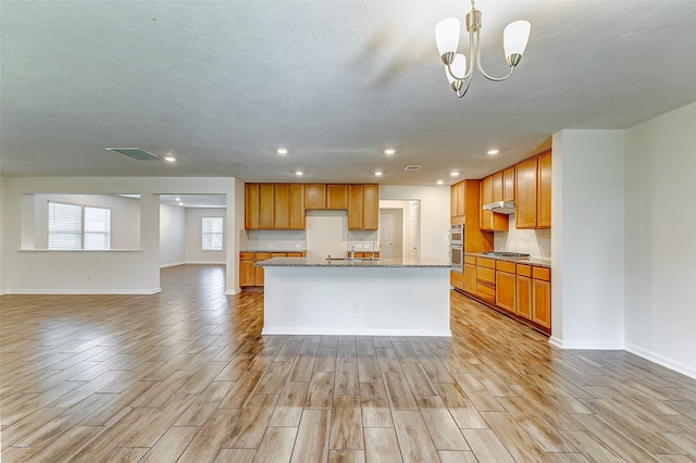 kitchen featuring stainless steel appliances, light hardwood / wood-style floors, hanging light fixtures, and a center island with sink