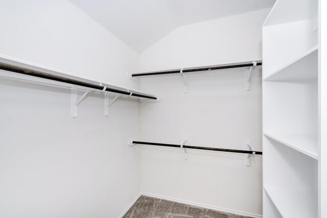 spacious closet with lofted ceiling and light colored carpet