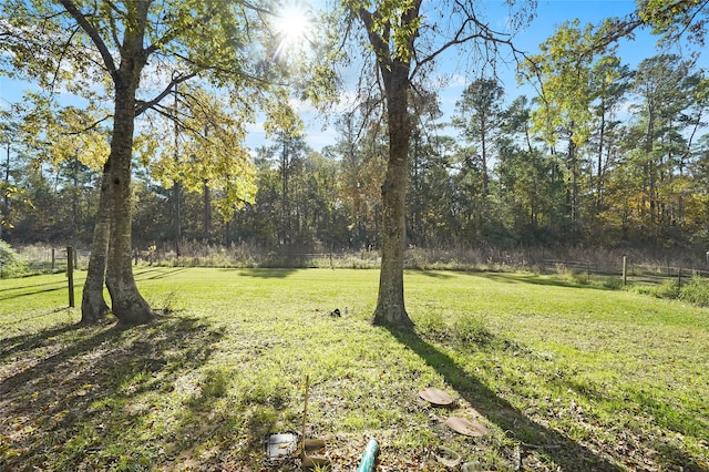 view of yard