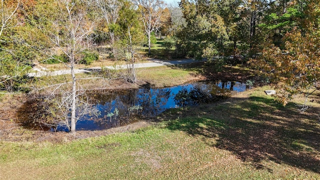 view of water feature