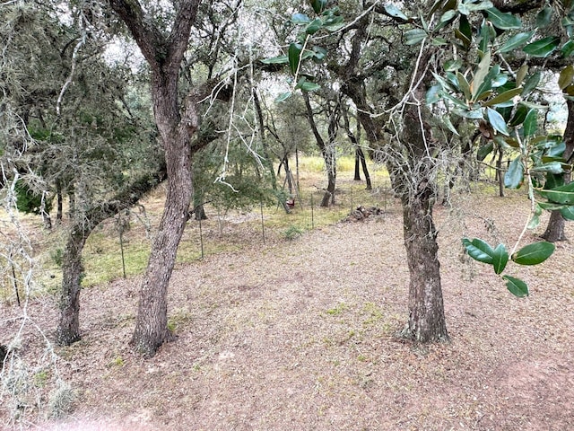 view of local wilderness