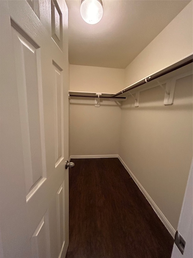 walk in closet with hardwood / wood-style floors