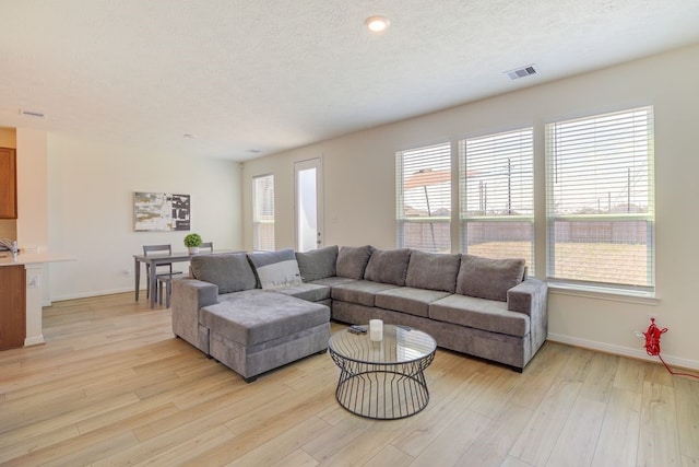 living room with a wealth of natural light, a textured ceiling, and light hardwood / wood-style floors