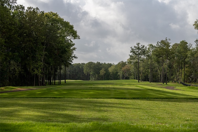 view of property's community featuring a yard