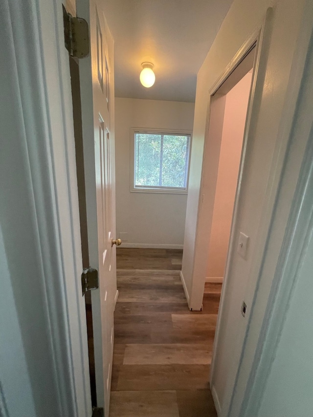 hallway featuring dark hardwood / wood-style floors