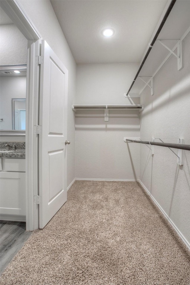 walk in closet featuring carpet flooring and sink