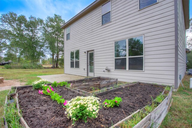 back of house featuring a patio area and a yard