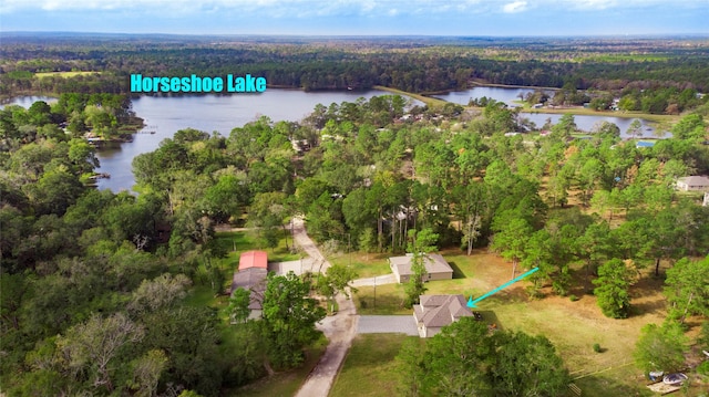 4 Big Lake Cir, Huntsville, TX 77320 - aerial view of property's location with a heavily wooded area and a nearby body of water