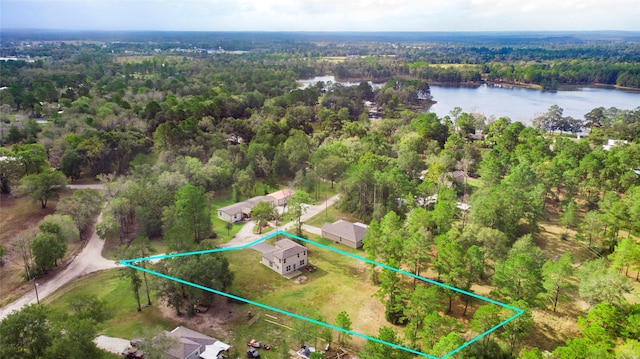 4 Big Lake Cir, Huntsville, TX 77320 - aerial overview of property's location featuring a forest, a large body of water, and property boundaries highlighted