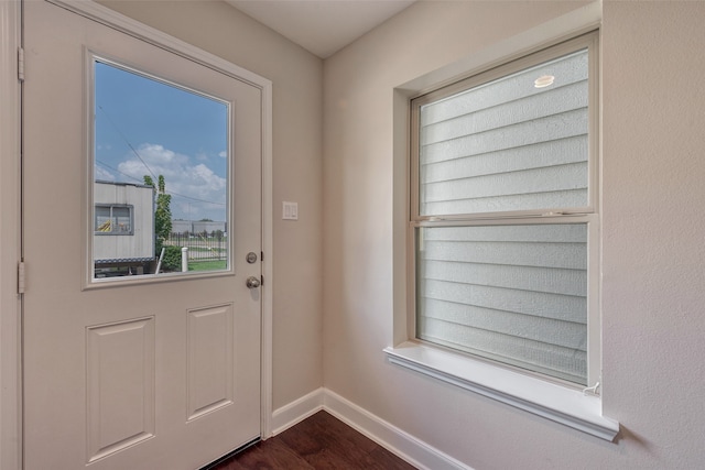 entryway featuring dark wood-type flooring