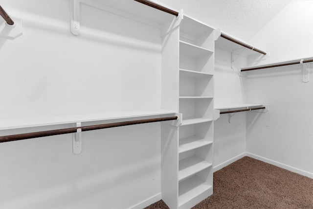 spacious closet with carpet