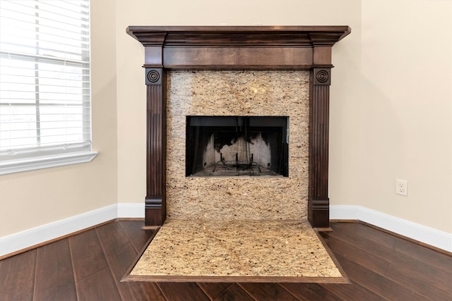 room details featuring wood-type flooring and a high end fireplace