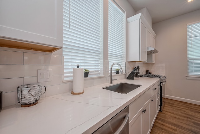 kitchen featuring a healthy amount of sunlight, stainless steel appliances, sink, and backsplash