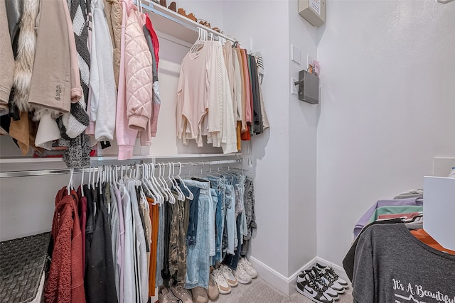 spacious closet featuring carpet