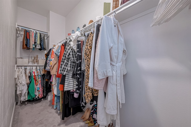 walk in closet with carpet floors