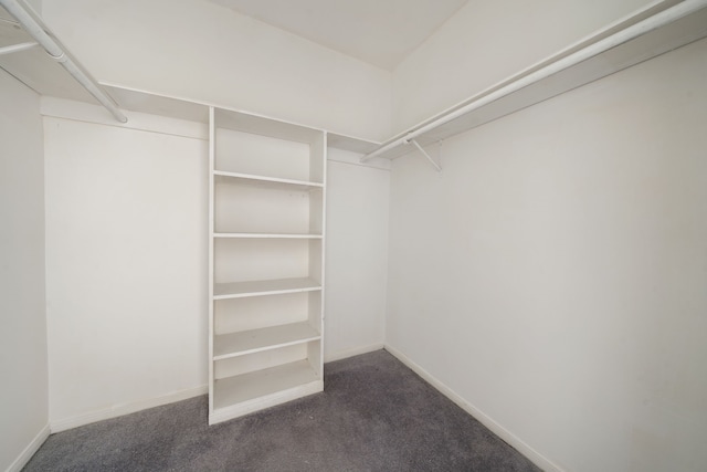 walk in closet with dark colored carpet