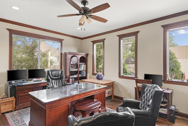 office area featuring dark wood-type flooring, ceiling fan, and crown molding