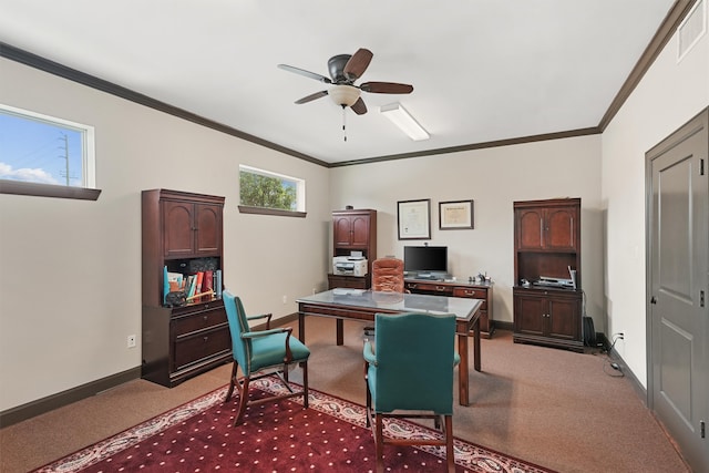 carpeted office with ceiling fan and ornamental molding